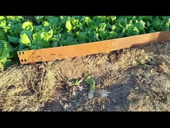 1SGS 000mm*1.6mm*100mm Galvanizli Corten Çelik Bordür Kenarları Corten Çim Kenarları